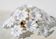 Audrey Hepburn, Delicious Murano Glass Ceiling Light White Wall Light Flowe