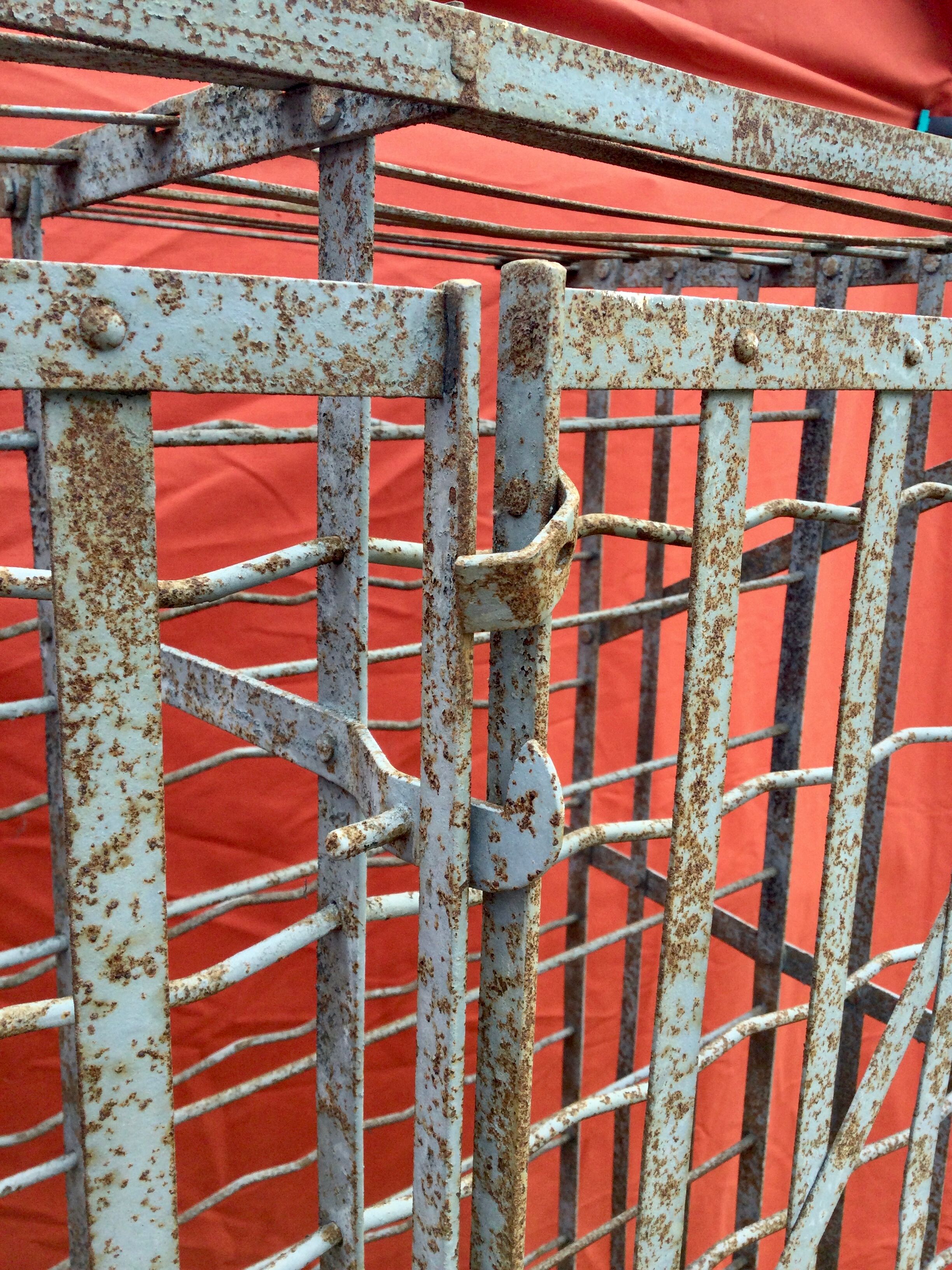 Wine cellar 300 bottles