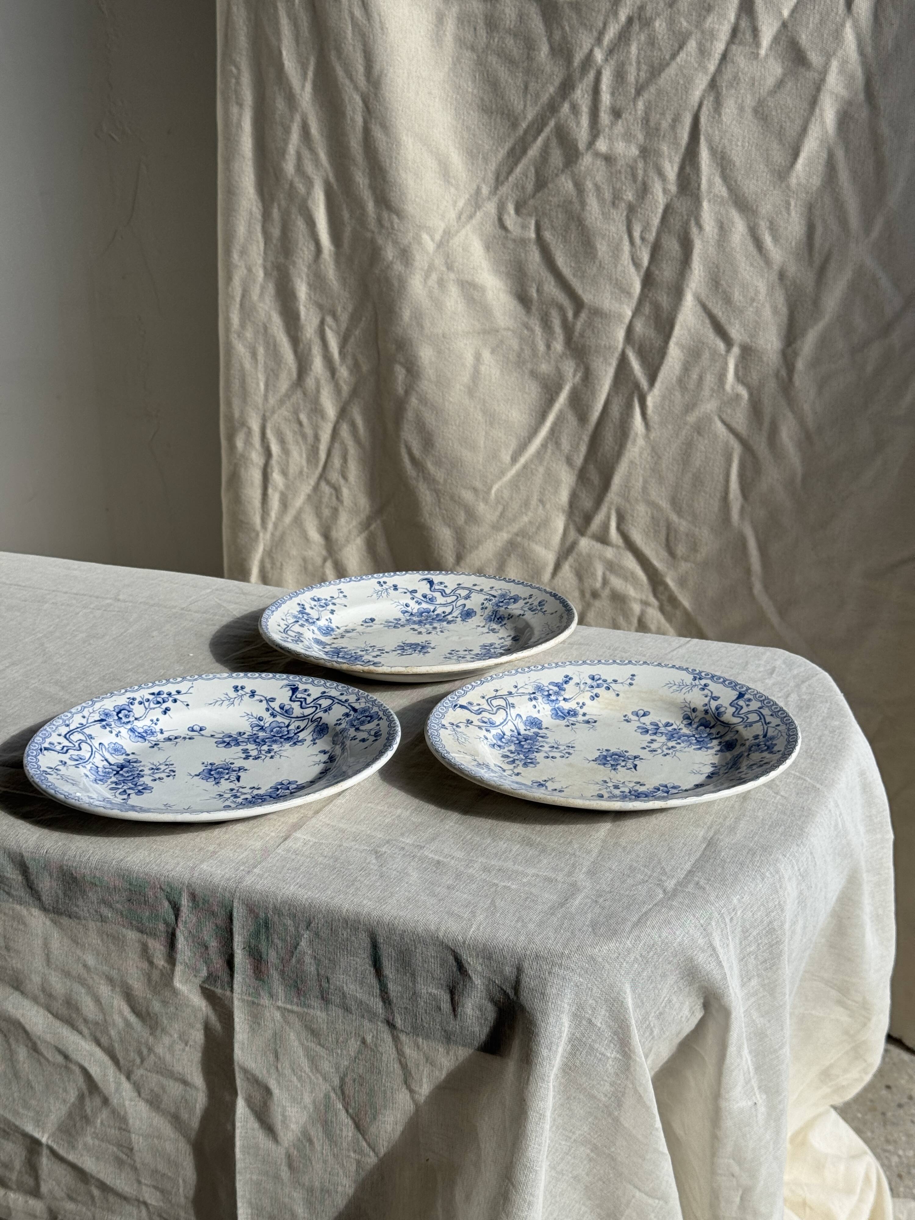 Set of 3 blue plates from Gien pottery, Fleurette model, D22.5.