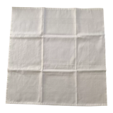 Napkin