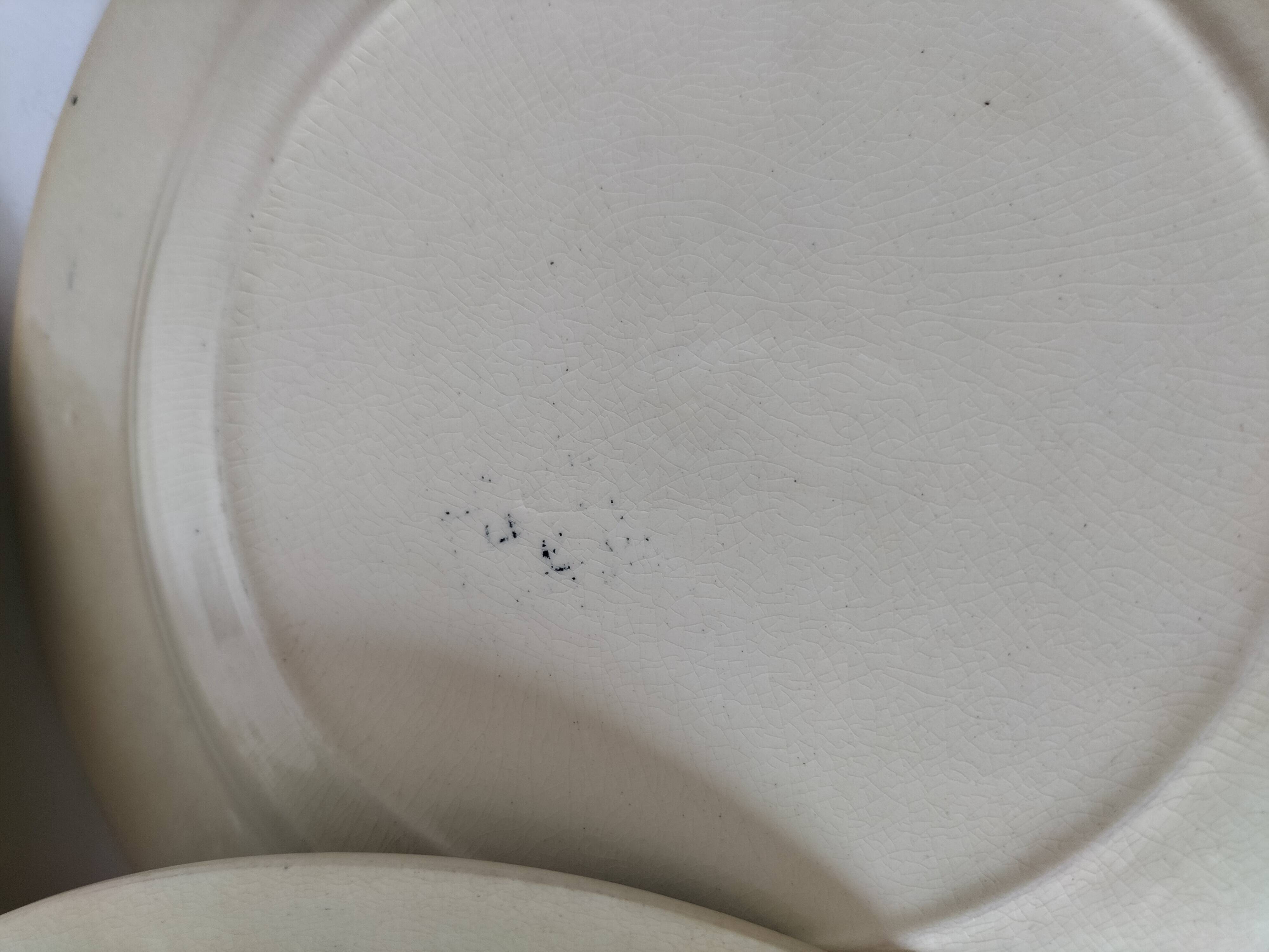 6 old E.C. Salins “Les Épis” ironstone soup plates