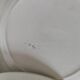 6 old E.C. Salins “Les Épis” ironstone soup plates