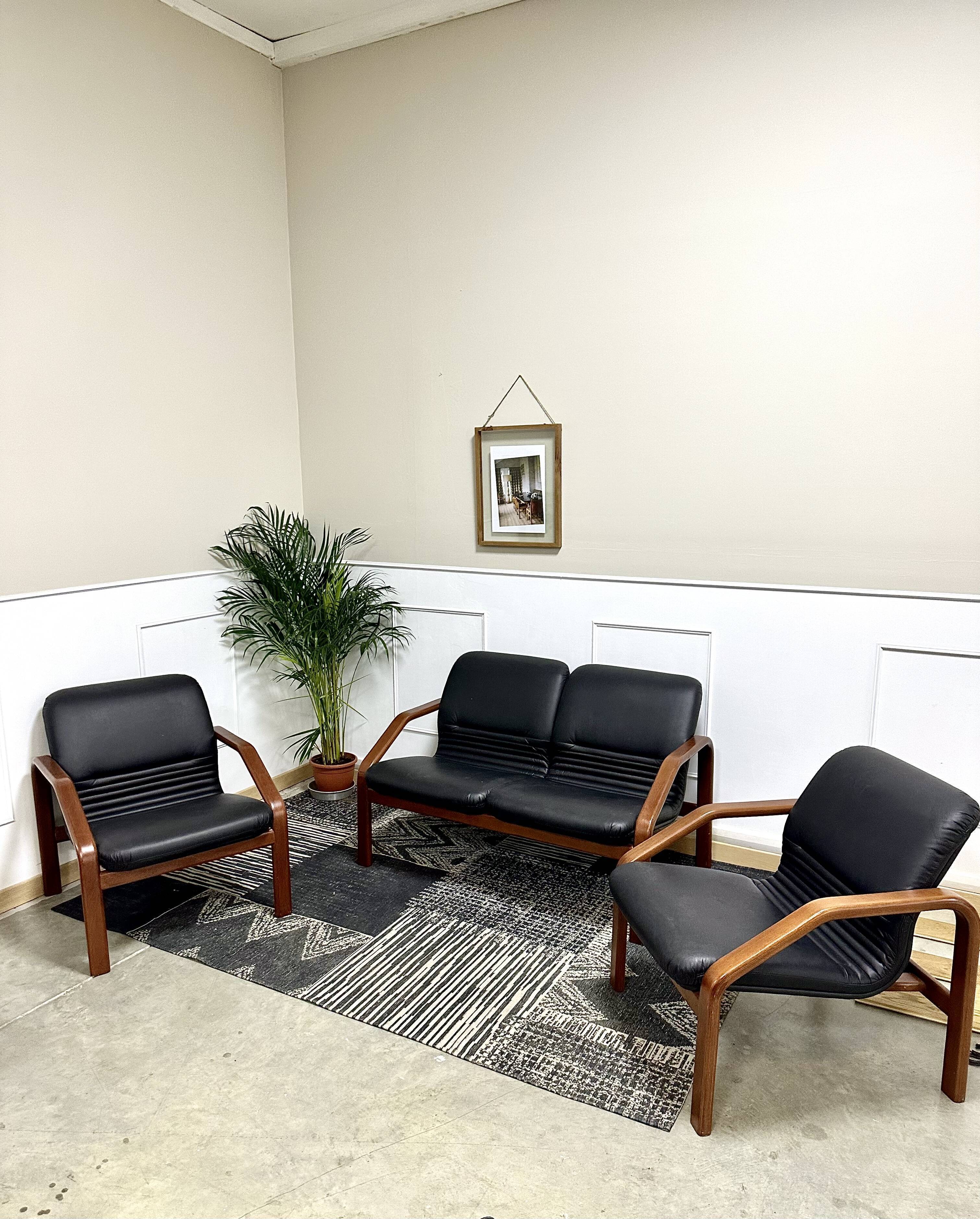 Design living room in black leather