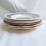 Vintage blue beige soup plates