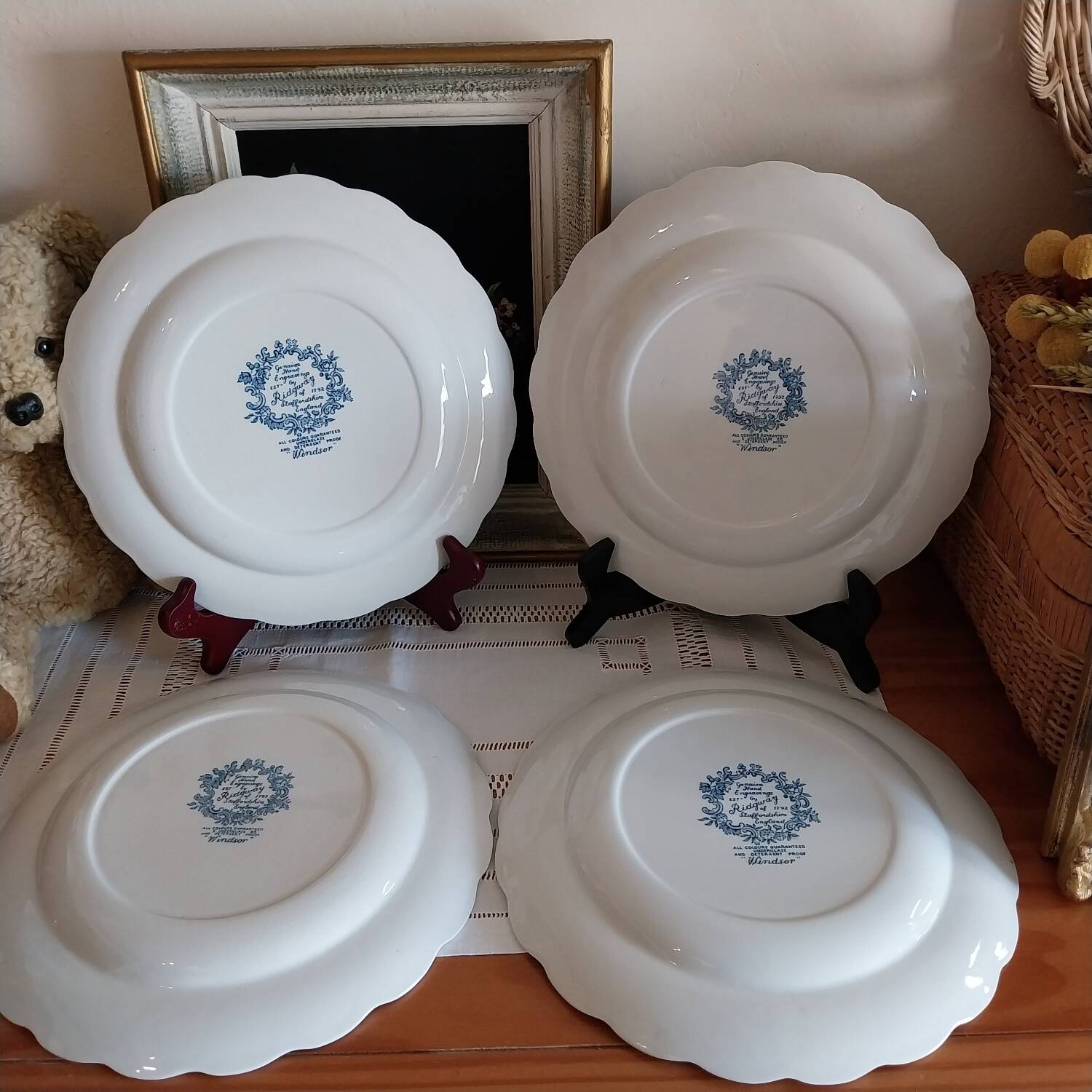 English dinner plates Ridgway of staffordshire Windsor