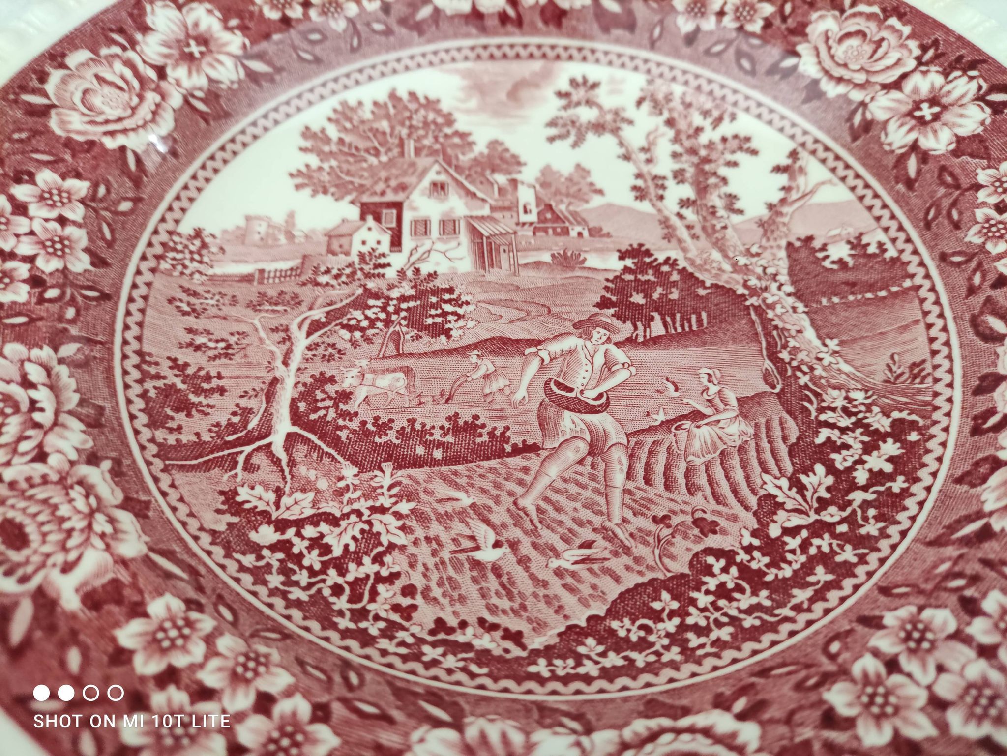 Set of 6 hollow plates in opaque porcelain Villeroy & Boch model Rusticana red English décor