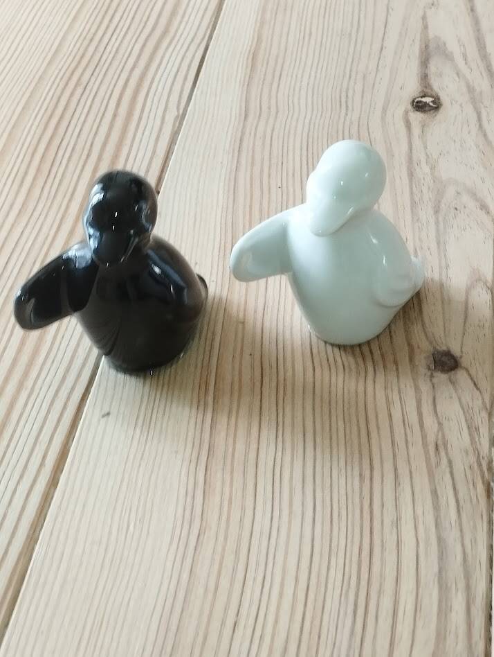 Duo de salières pingouins noir et blanc