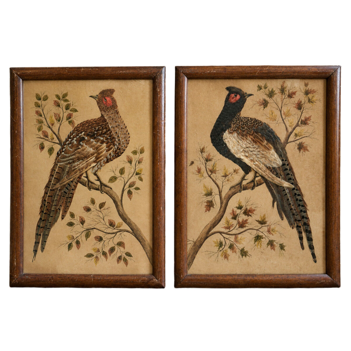 Paire de tableaux naturalistes en plumes véritables