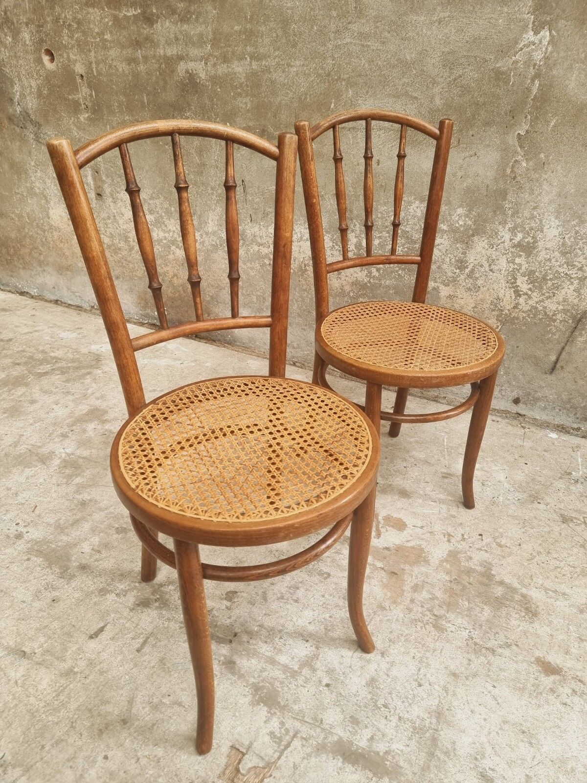 Antique chairs by Fischel