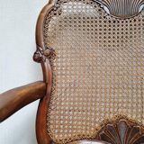 Chippendale Bergere Armchair, Carved Mahogany with Cane and Lion Claw Ball