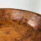 Xxl dish in tuya root