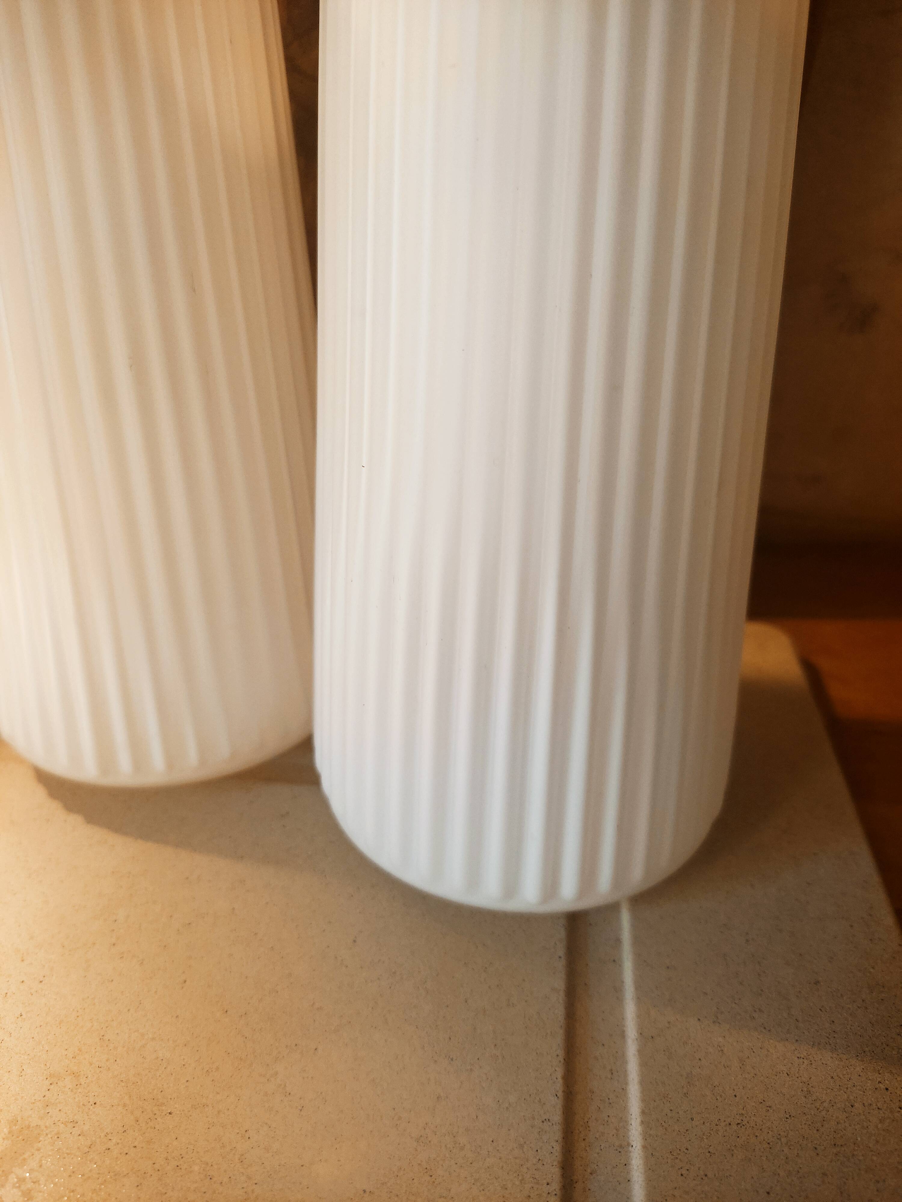 Striated opaline tulips