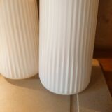 Striated opaline tulips