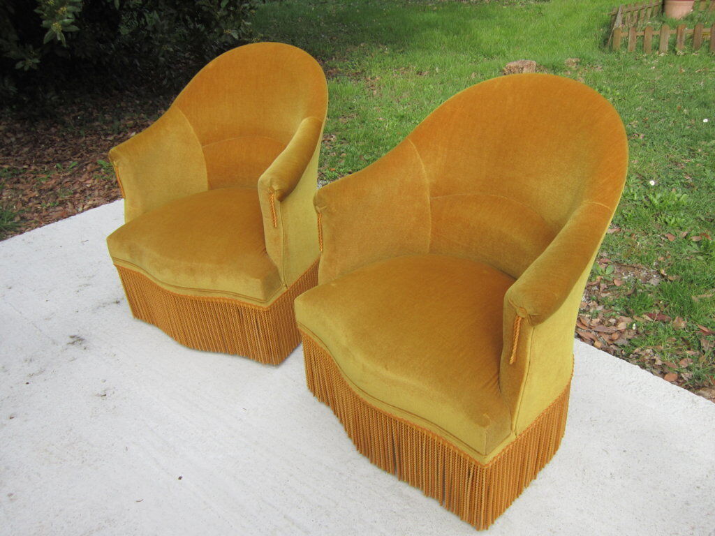 Pair of armchairs velvet Toad