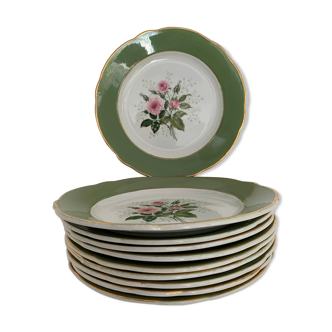 10 old flat plates KG Luneville, Bagatelle