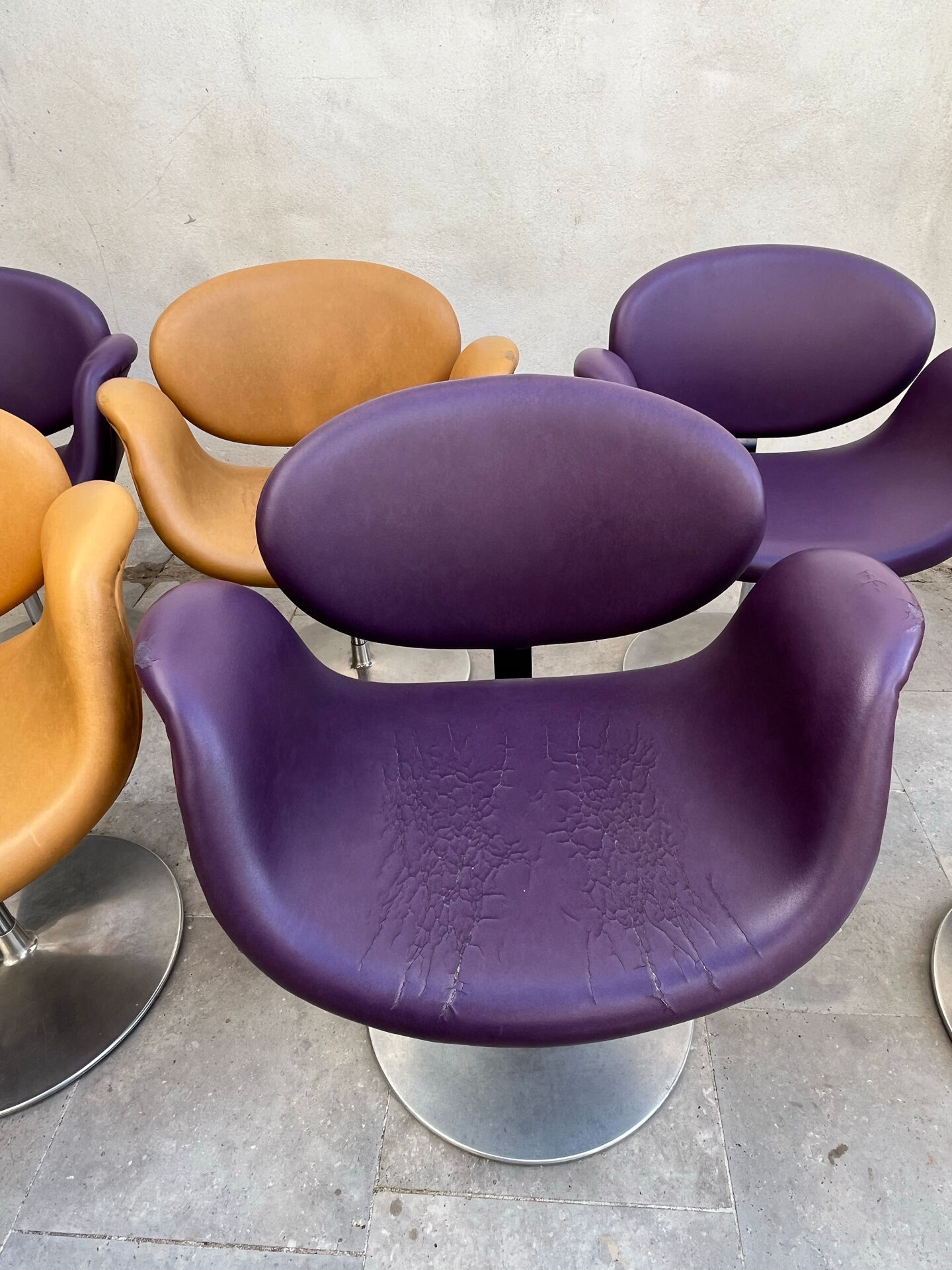 7 Tulip Chairs Paulin