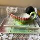 Asparagus dish and sauce boat in slip