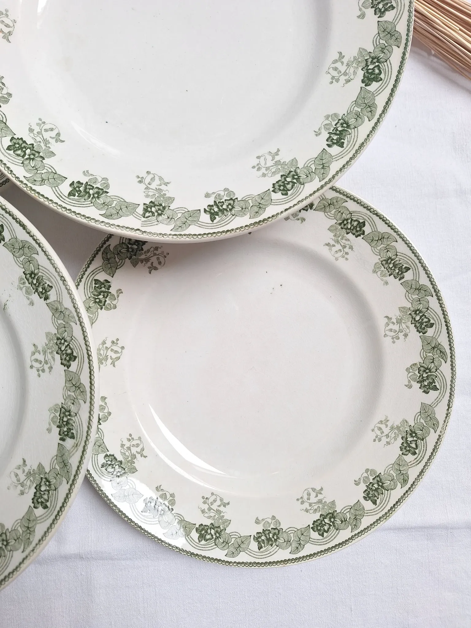 Assiettes plates vertes Moulin des Loups modèle Violetta