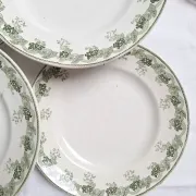 Assiettes plates vertes Moulin des Loups modèle Violetta