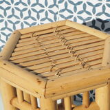 Rattan plant holder