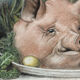 Pastel early XXth, pig's head