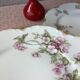 Plates Haviland Limoges 1900 - floral decoration liberty