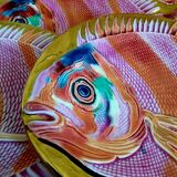 Vintage fish dessert service