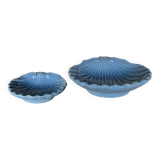 Set of shell bowls