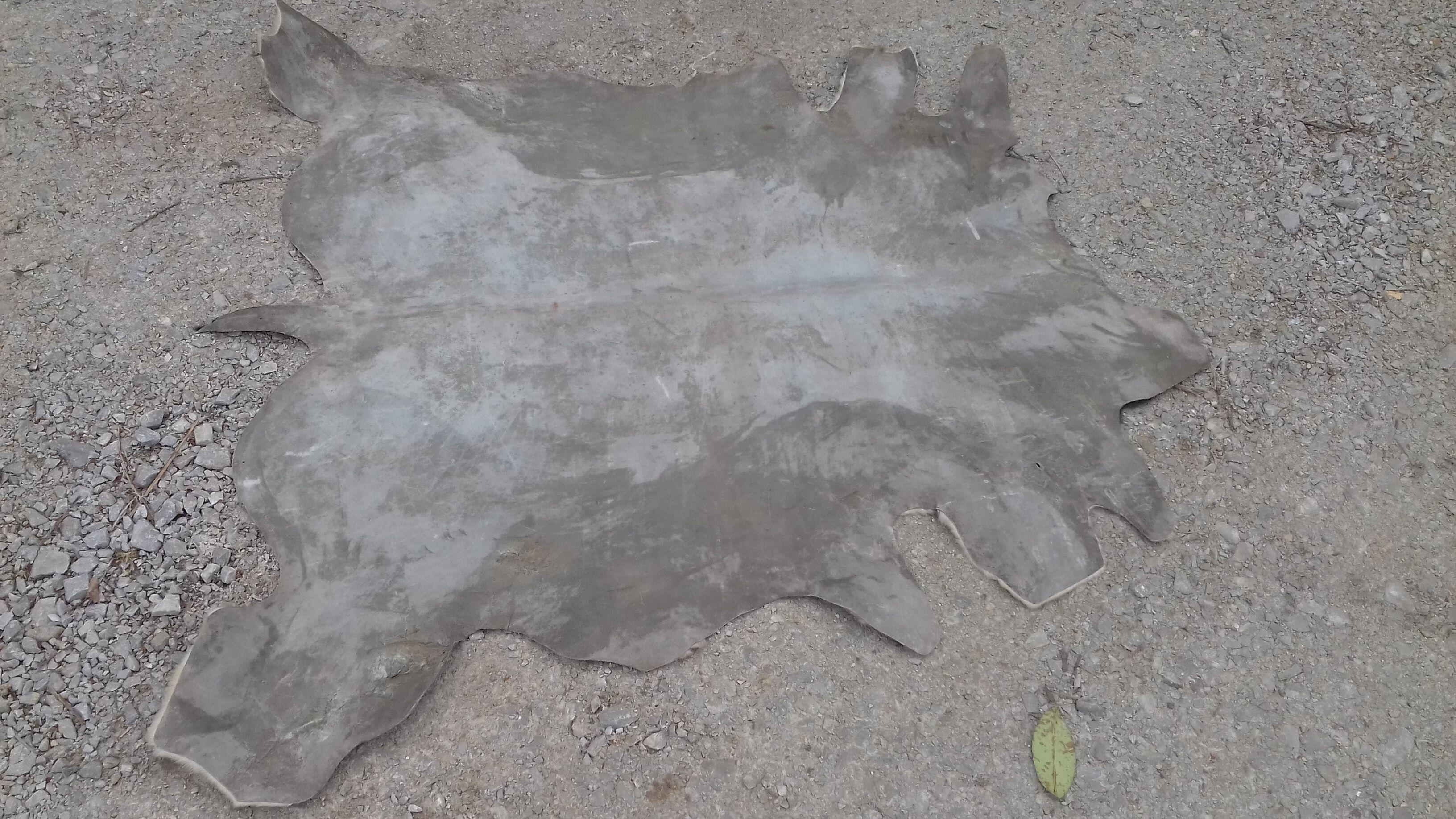 Cowhide rug 158x160cm