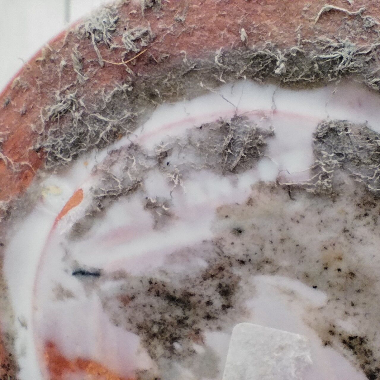 Ceramic lamp foot by Danuta Le Hénaff