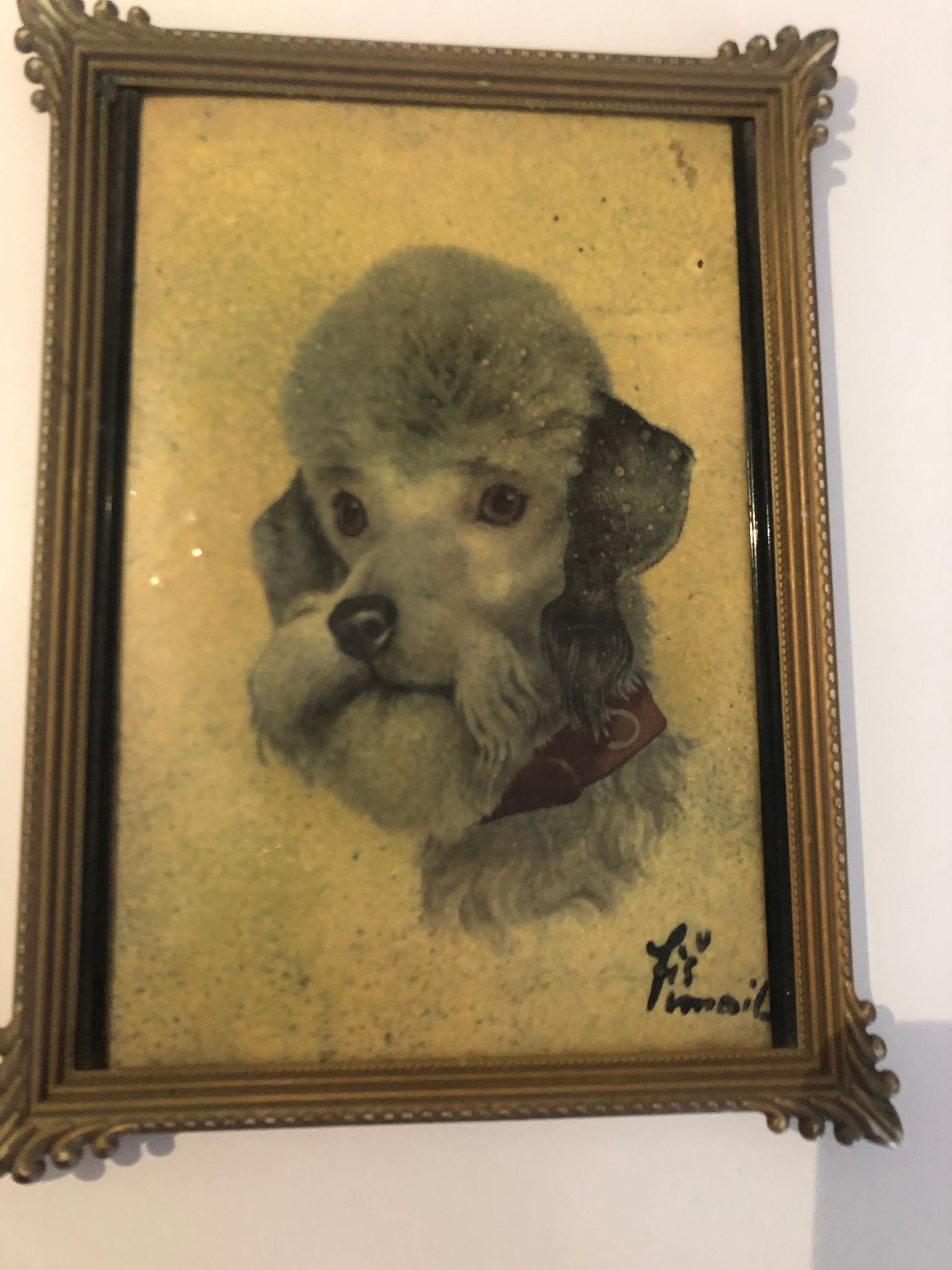 Protrait English poodle enamel on copper