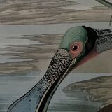 Engraving by J.-J. Audubon Editions of the Disaster XXth Roseate Spoonbill