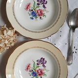 Old hollow plates mismatched in earthenware with gilded edges