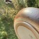 Organic earthenware deep plates from Gré du Marais, France.