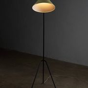 Grasshopper tripod floor lamp by Willem van Doorn