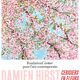 Damien Hirst poster