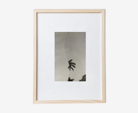 Palm collage