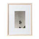 Palm - Collage