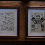 Original lithograph of vegetables and vegetable plants