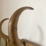 Curved wooden coat rack from the early 20th century