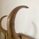 Porte manteau en bois courbé début XXe