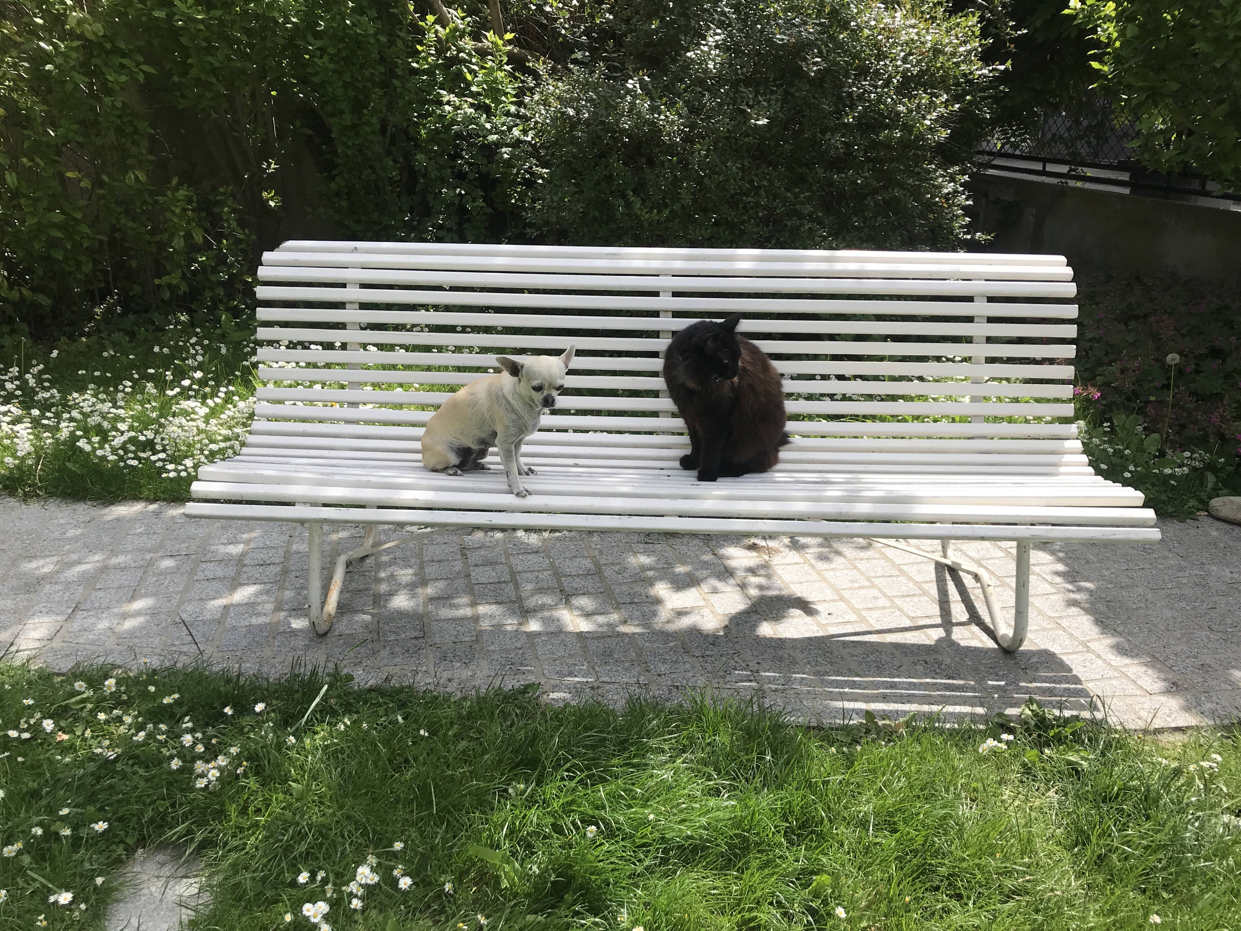 White metal Garden Bench and wooden slats 1970