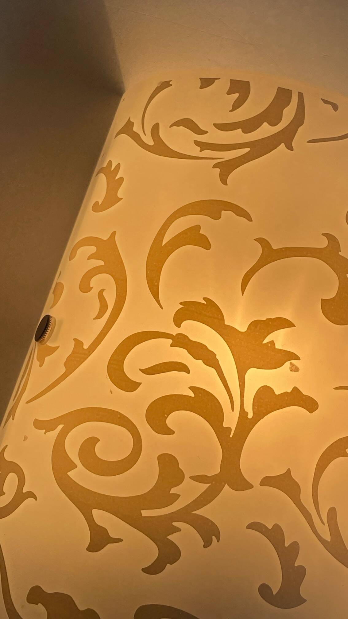 Polished and screen-printed glass sconce by eglo