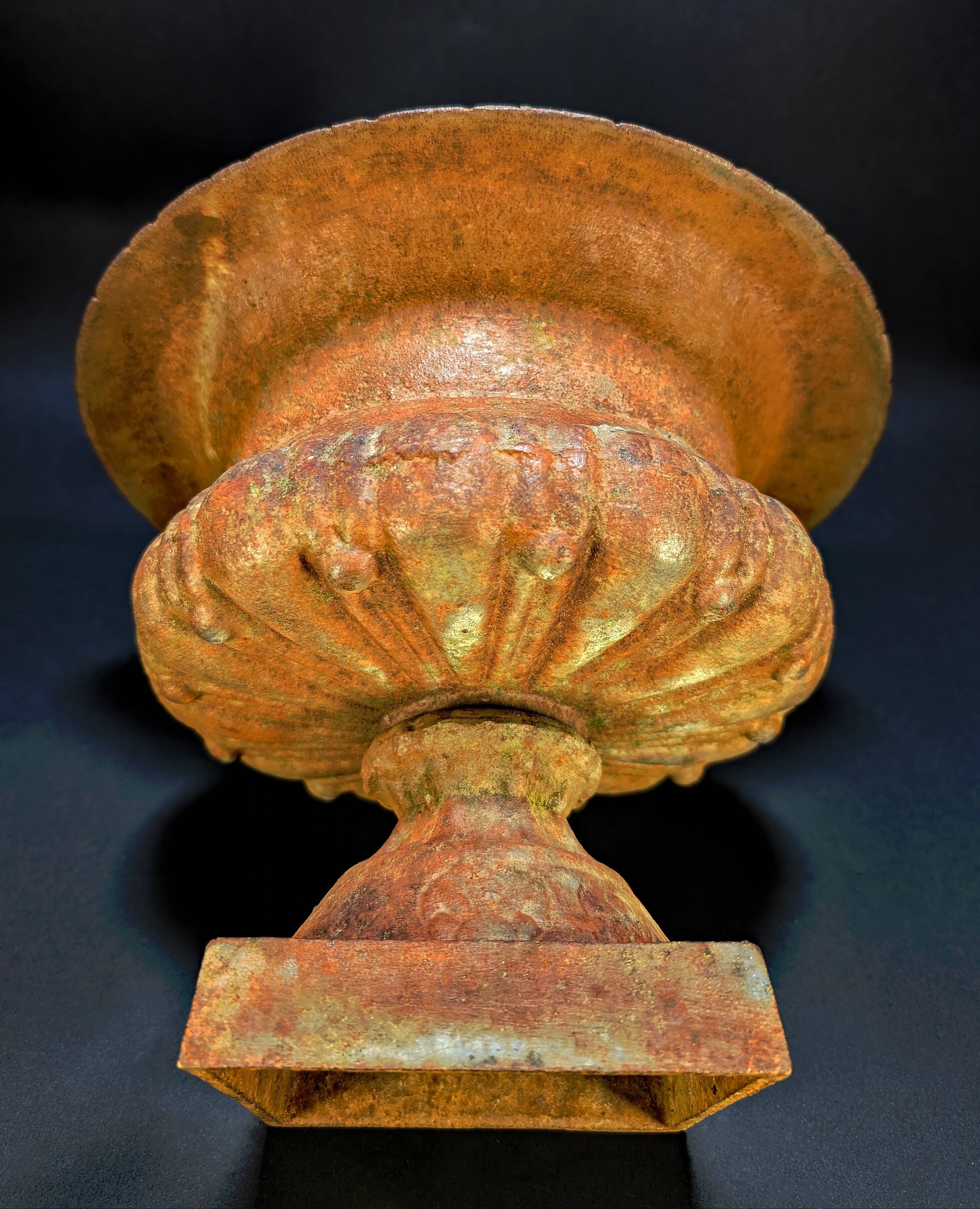 Old Cast Iron Planter – Medici Basin on Stand – 27 cm – 5.5 kg