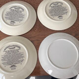 Pavesi plates