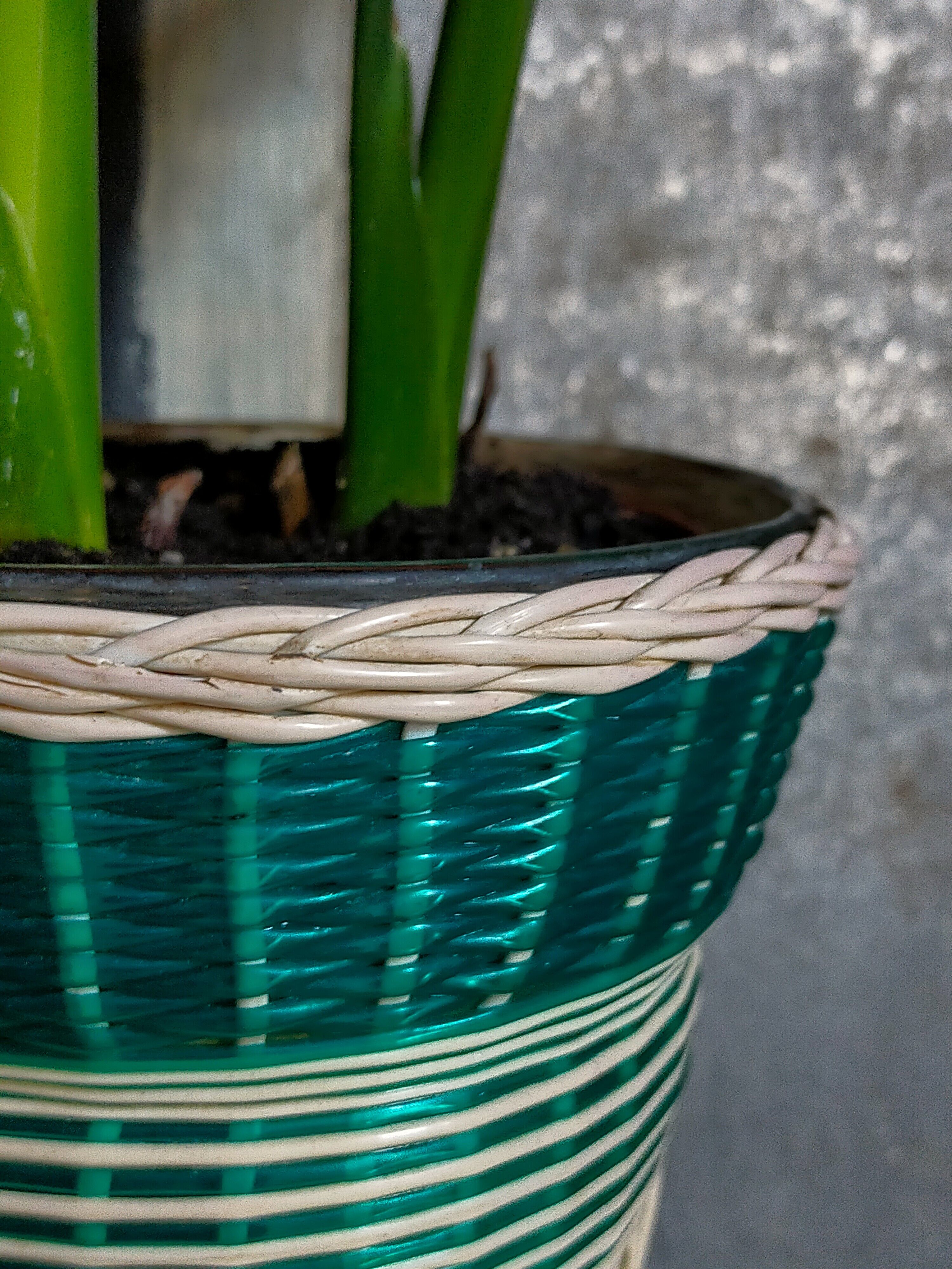 Glass vase and braided scoubidou thread 50s