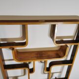Room Divider by Ludvik Volak for Drevopodnik Holesov
