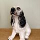 Vintage ceramic dog