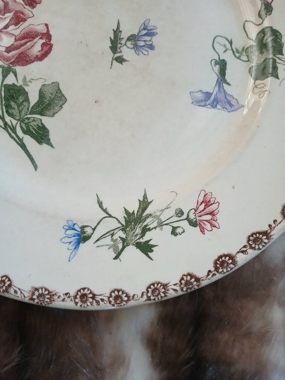 Old polychrome ironstone plate