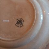 6 Talking plates. Old races